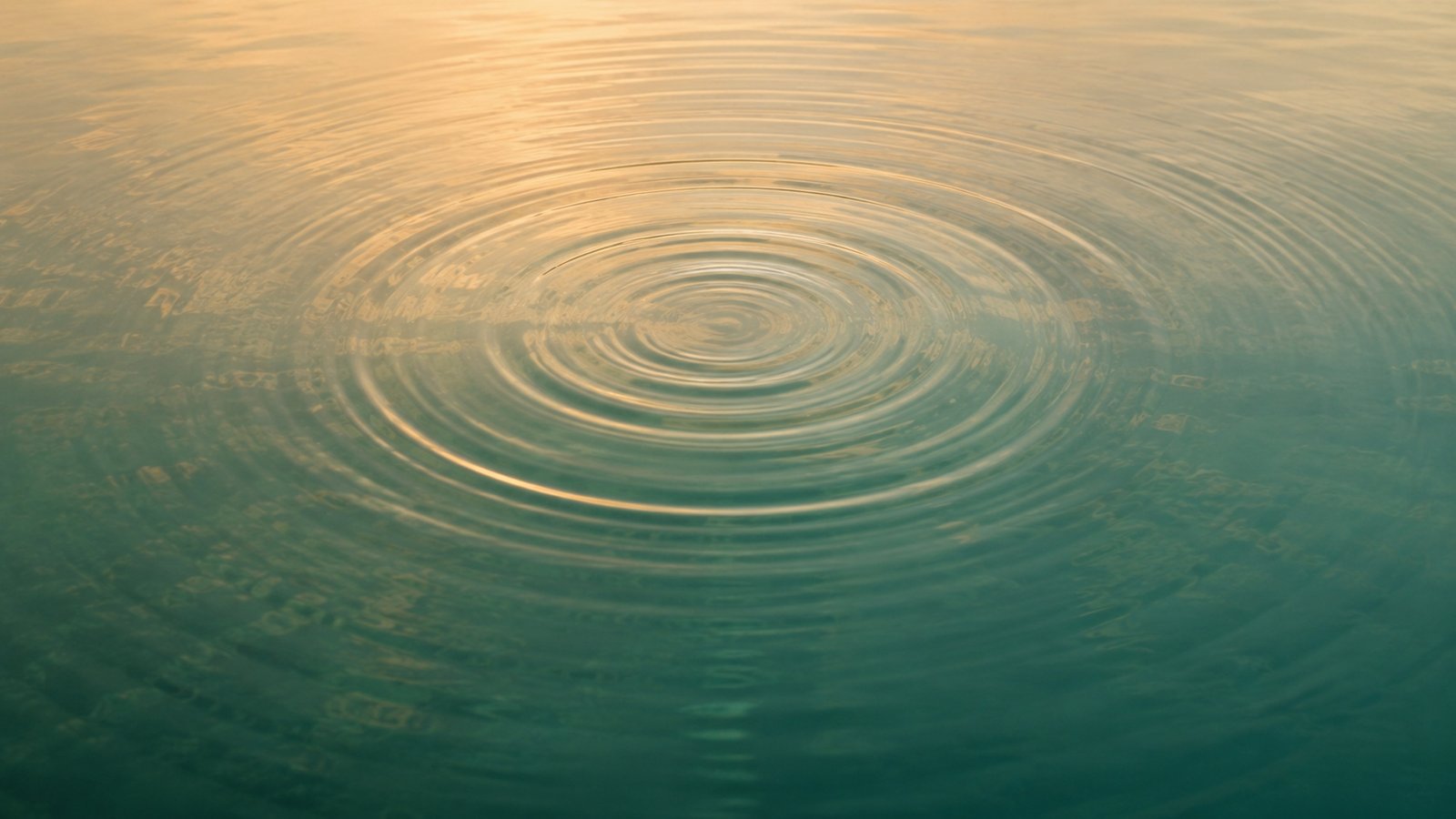 What Is Emotional Flooding? How to Recognise It. Before It Takes You Under| Productivity Manor